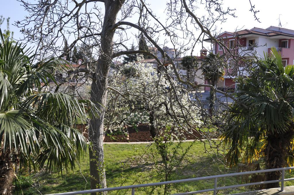Alessia Apartments-top Location And Garage Parking Apartment